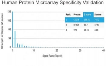 Analysis of HuProt(TM) microarray containing more than 19,000 full-length human proteins using B7-H3