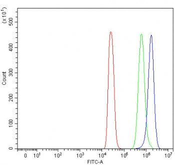 Flow cytometry testing of fixed and permeabilized human 293T cells with NDST4 antibody at 1ug/millio