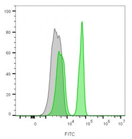 Flow cytometry staining of lymphocyte gated human PBM cells with CD4 antibody; Gray=unstained, Green