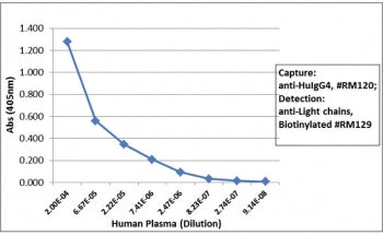 Human IgG4 Antibody / Hinge region