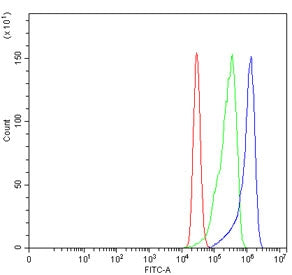 Flow cytometry testing of human MCF7 cells with CBS antibody at 1ug/million cells (blocked with goat