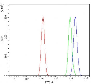 SMCR8 Antibody / Smith-Magenis syndrome chromosomal region candidate gene 8 protein