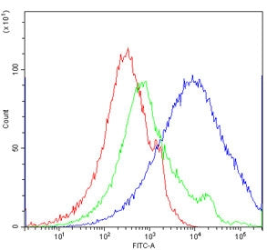 CD16 Antibody
