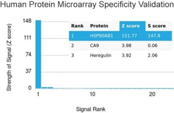 Analysis of HuProt(TM) microarray containing more than 19,000 full-length human proteins using HSP90