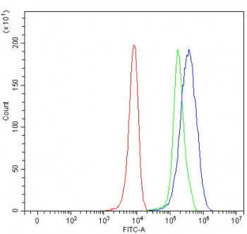 Flow cytometry testing of human 293T cells with SLC5A4 antibody at 1ug/million cells (blocked with g