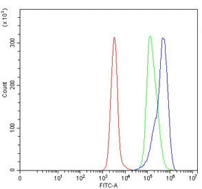 L1RE1 Antibody / LINE-1 retrotransposable element ORF1 protein