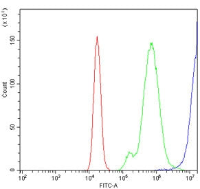 CD20 Antibody
