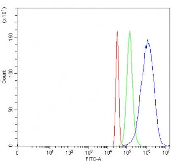 AKR1D1 Antibody