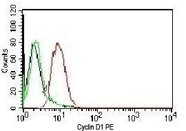 Cyclin D1 Antibody / CCND1