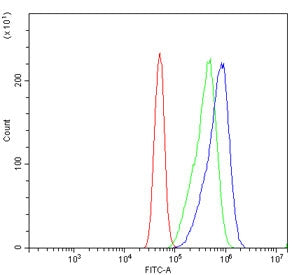 Flow cytometry testing of human Caco-2 cells with PROM1 antibody at 1ug/million cells (blocked with 