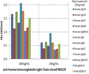 Human Ig Light Chains Antibody
