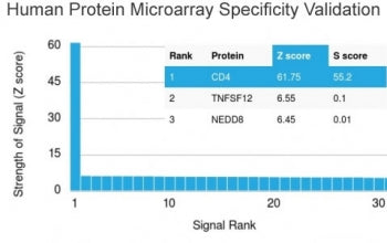 CD4 Antibody