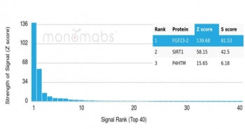 FGF-23 Antibody / Fibroblast Growth Factor 23