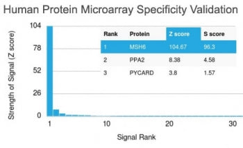 Analysis of HuProt(TM) microarray containing more than 19,000 full-length human proteins using MSH6 