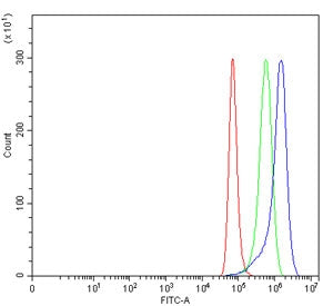 Flow cytometry testing of human HeLa cells with TGF beta Receptor III antibody at 1ug/million cells 