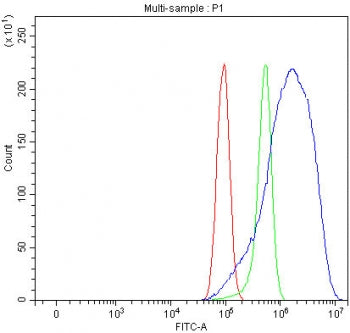 Flow cytometry testing of human PC-3 cells with SERINC5 antibody at 1ug/million cells (blocked with 
