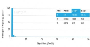 Lactoferrin Antibody / LTF