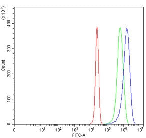 Flow cytometry testing of human HepG2 cells with DSG3 antibody at 1ug/million cells (blocked with go
