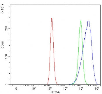 ROM1 Antibody / Rod outer segment membrane protein 1