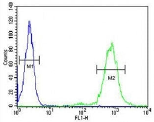 CD69 Antibody