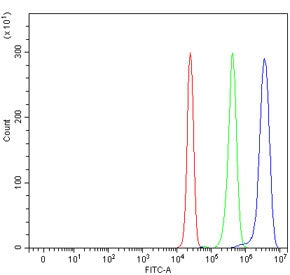 GRIPAP1 Antibody / GRASP 1 / GRIP1-associated protein 1