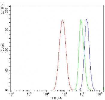 Flow cytometry testing of human HepG2 cells with CRYAA antibody at 1ug/million cells (blocked with g