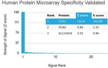 Analysis of HuProt(TM) microarray containing more than 19,000 full-length human proteins using Intel