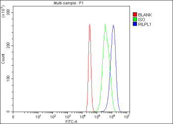 Flow Cytometry analysis of 293T cells using anti-RILPL1 antibody. Overlay histogram showing 293T cel