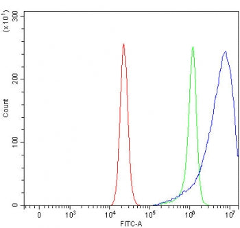 Flow cytometry testing of fixed and permeabilized human RT4 cells with Prostaglandin reductase 2 ant