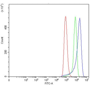 Flow cytometry testing of human HeLa cells with PDIA4 antibody at 1ug/million cells (blocked with go