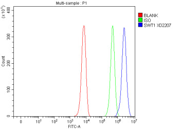 Flow Cytometry analysis of K562 cells using anti-SWT1 antibody. Overlay histogram showing K562 cells