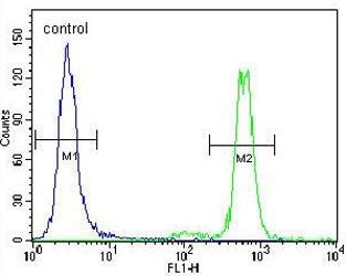 ERK1 Antibody / MAPK3