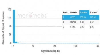 Analysis of a HuProt(TM) microarray containing more than 19,000 full-length human proteins using KIF
