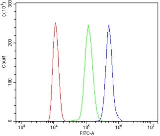 Flow cytometry testing of mouse ANA-1 cells with Mt-nd2 antibody at 1ug/million cells (blocked with 