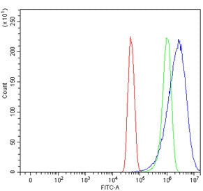 Caspase-8 Antibody (large subunit)