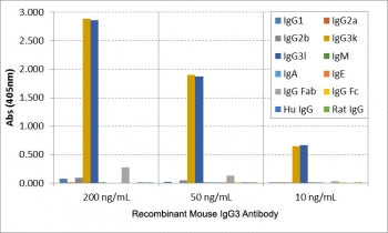 ELISA of mouse immunoglobulins shows the recombinant Mouse IgG3 antibody reacts to both IgG3Îº and I