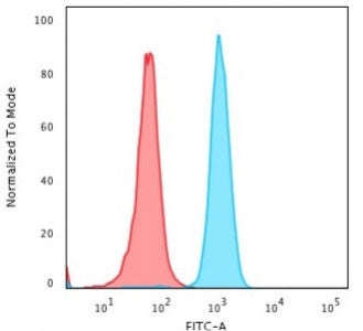 Cytochrome C Antibody