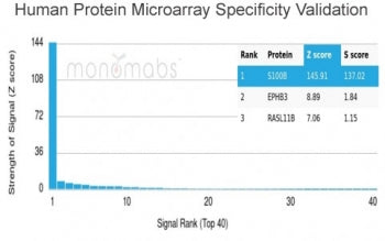 Analysis of HuProt(TM) microarray containing more than 19,000 full-length human proteins using S100B