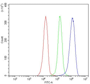 Flow cytometry testing of human JK-1 cells with UBAP2 antibody at 1ug/million cells (blocked with go
