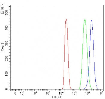 Flow cytometry testing of fixed and permeabilized human 293T cells with Protor-1 antibody at 1ug/mil