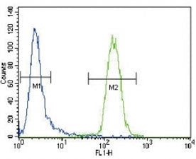 CD4 Antibody