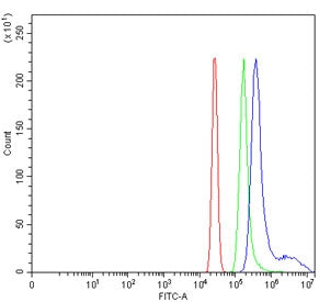 Flow cytometry testing of human HL60 cells with WDR12 antibody at 1ug/million cells (blocked with go