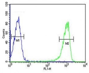 RANKL antibody flow cytometric analysis of HL-60 cells (right histogram) compared to a negative cont