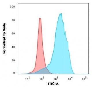 CD63 Antibody / LAMP-3