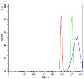 Flow cytometry testing of human PC-3 cells with VPS36 antibody at 1ug/million cells (blocked with go