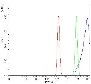 Flow cytometry testing of fixed and permeabilized human HEL cells with RRAS antibody at 1ug/million 