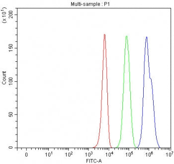 HDAC6 Antibody