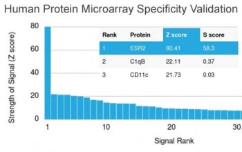 Estrogen Receptor beta Antibody