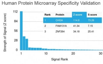 Analysis of HuProt(TM) microarray containing more than 19,000 full-length human proteins using Chrom
