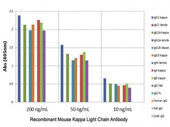 Mouse Kappa Light Chain Antibody